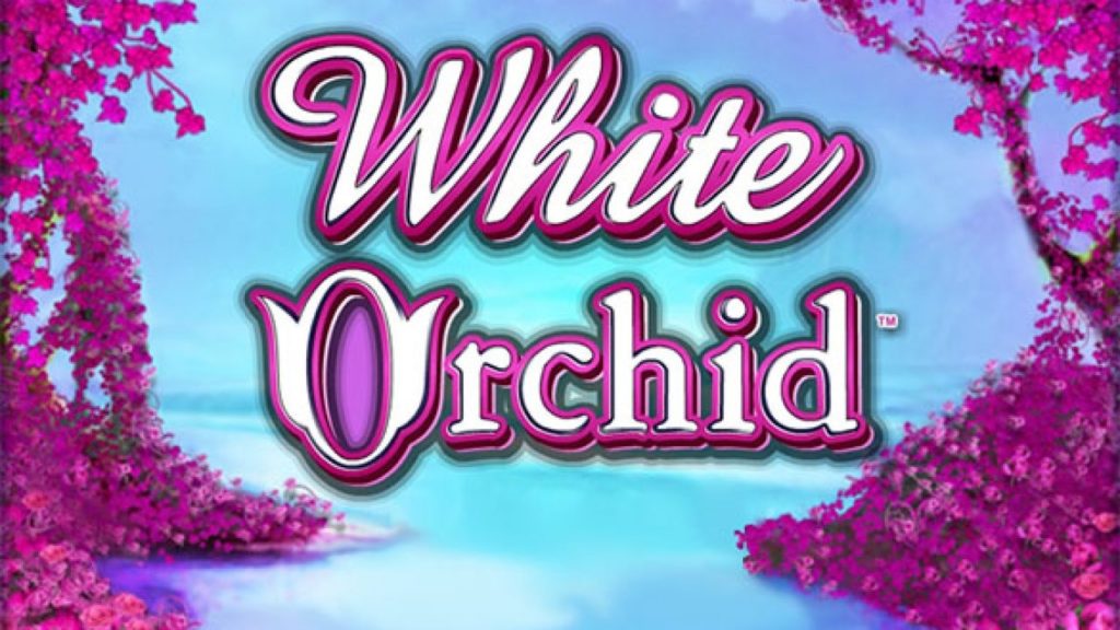 Logo de la tragamonedas White Orchid