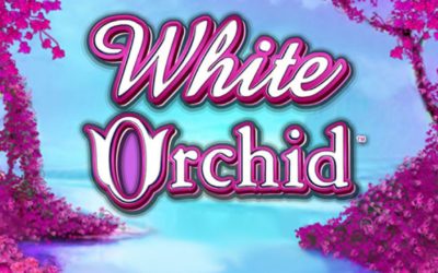 White Orchid – Juega Gratis a la Máquina Tragamonedas